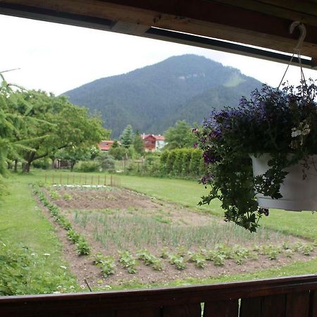 Apartman Turista Pavčina Lehota エクステリア 写真